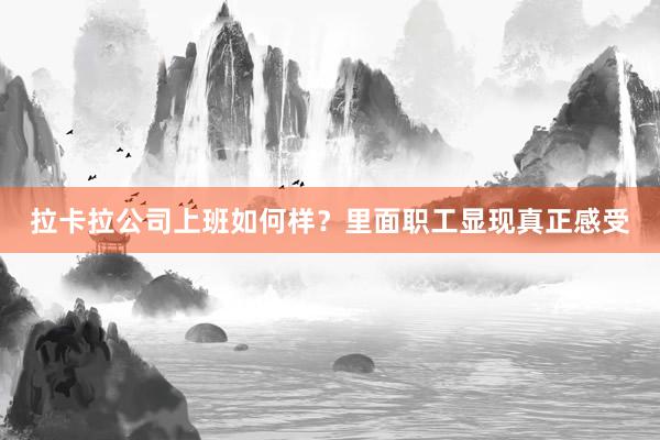 拉卡拉公司上班如何样？里面职工显现真正感受
