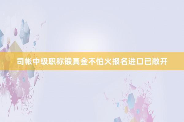 司帐中级职称锻真金不怕火报名进口已敞开